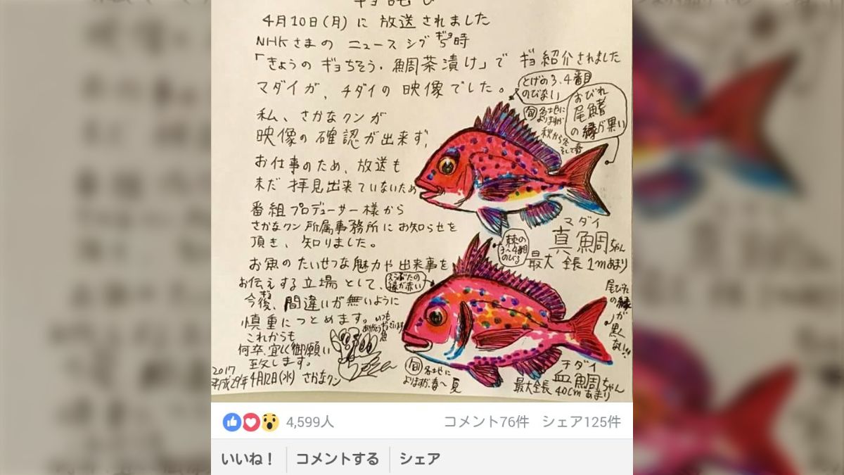さかなくんです【3/17までお取置中】 楽天市場】さかなクン 魚君 鱗取り SKC-6003【 さかなくん うお
