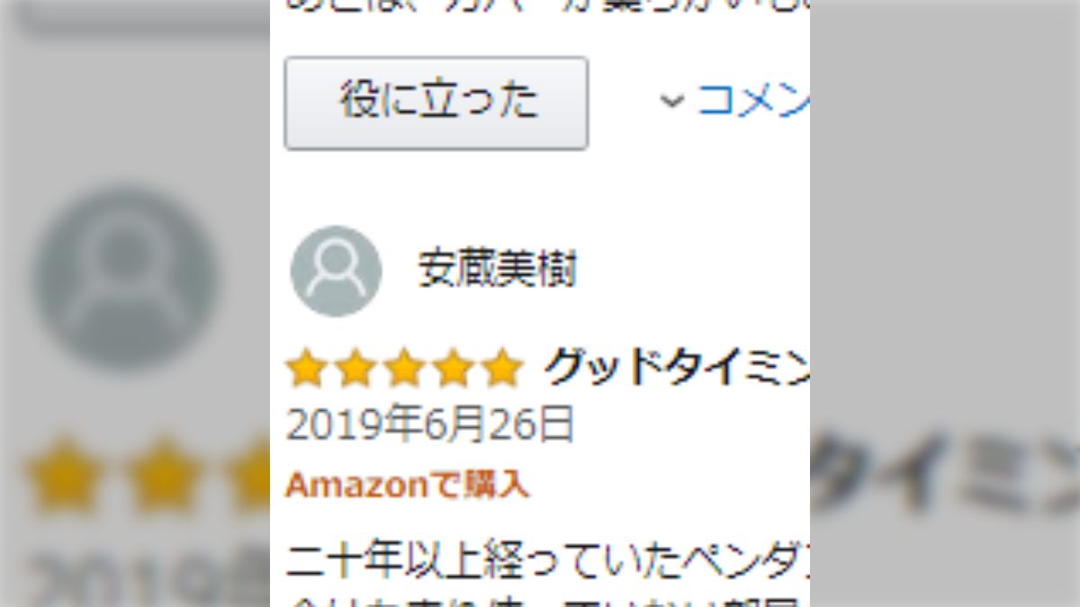 Amazonの商品レビュー、フルネームで真面目そうなコメント書い