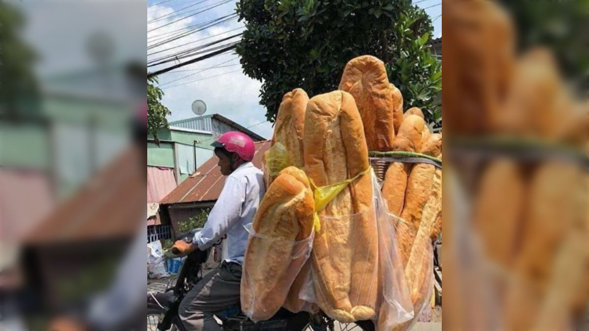 大きなパン 大きなパン ODAKYU VOICE 9月号にPanzが紹介されました🫶 コレ見て来たいと