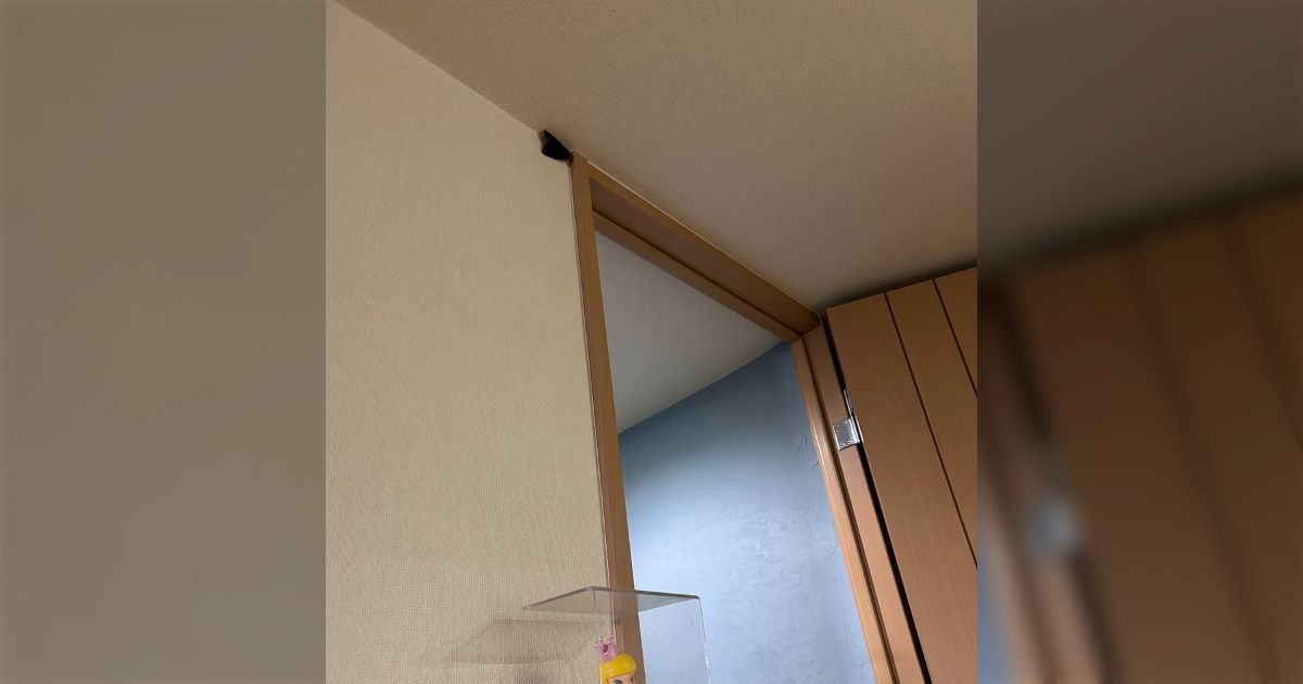 【閲覧注意】娘が「なんかいる! 怖い!」と叫ぶので何気なく上を見たら確かになんかいる「しかもデケェ!」「これ何!?」