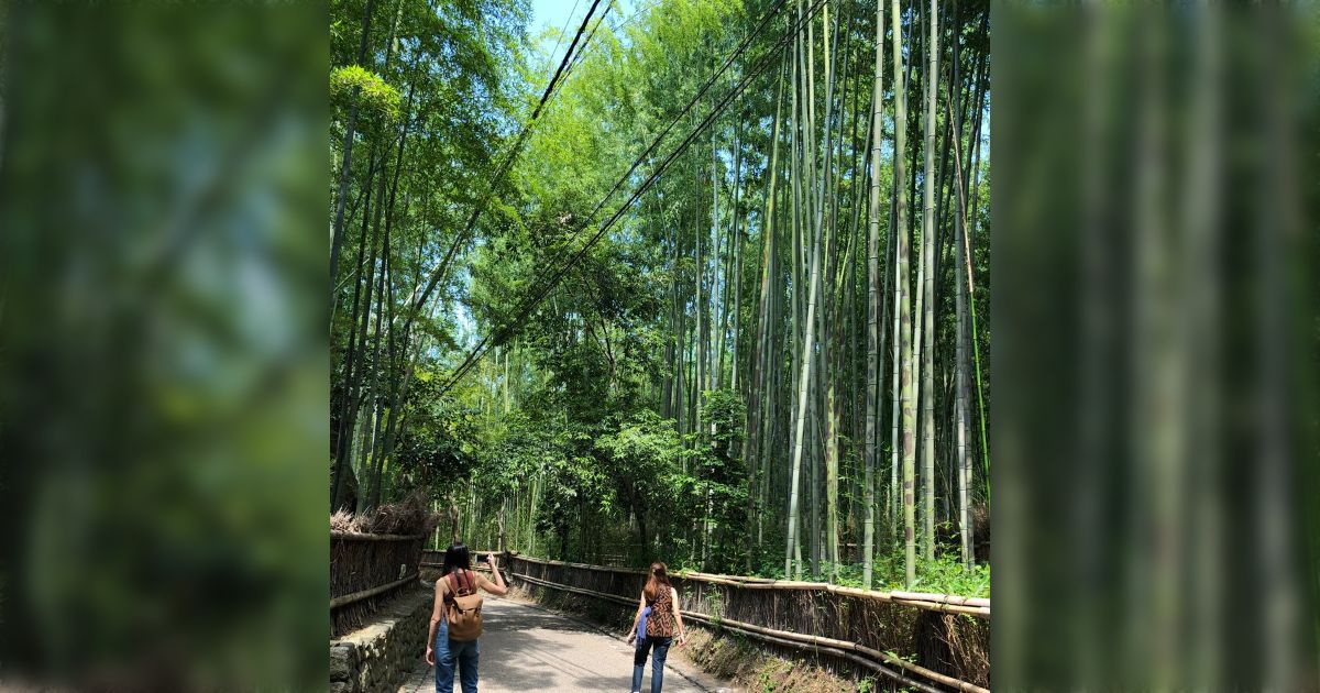 トルコ人「6月の日本行きの航空券は安い！」その時期に日本に行くのは物好きすぎるぞと注意されていて、本当にその通りでしかない