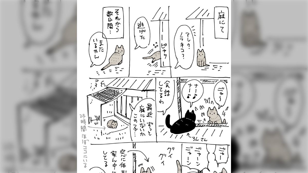 ろんろん様確認用♪(*^^*ゞ 湿る