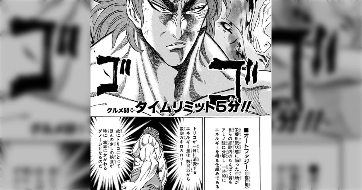 短期セール】「トリコ」「BLEACH」「SKET DANCE」「左門くんは