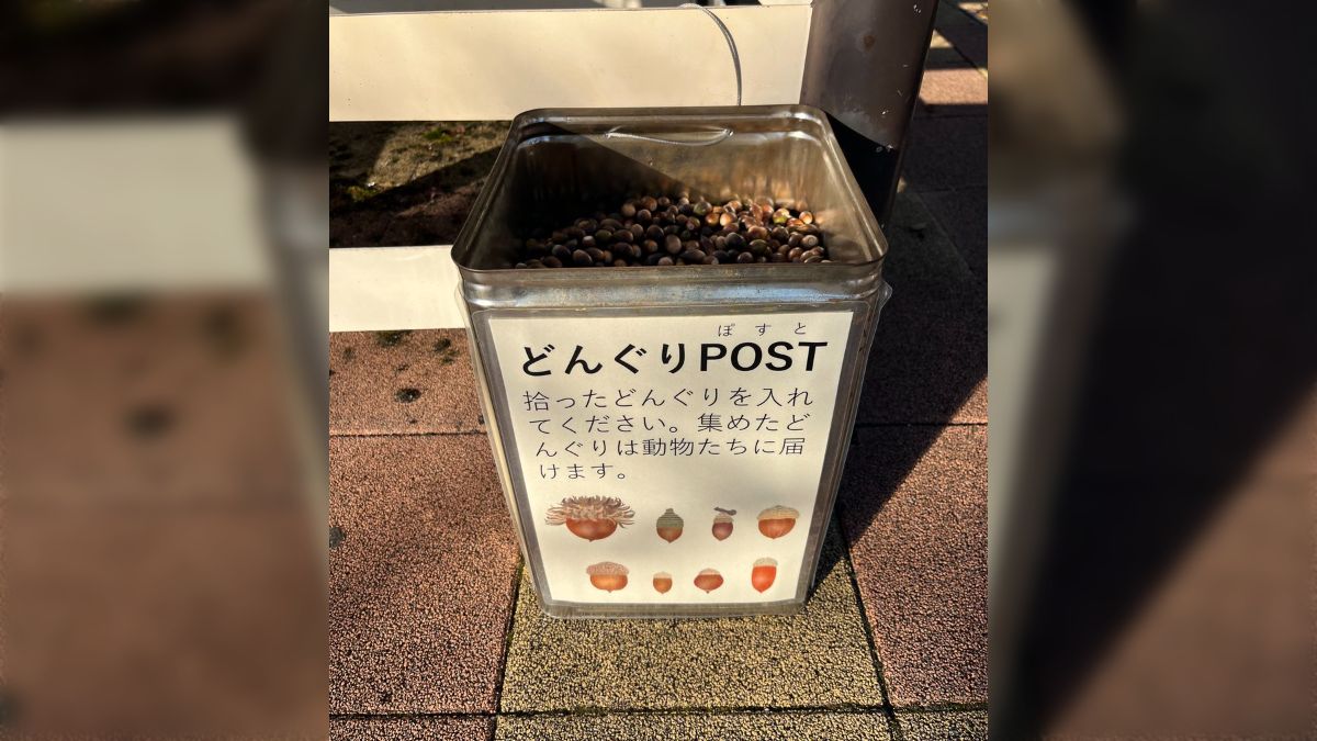 京都市動物園には園内に落ちているどんぐりを回収した後、動物たちに