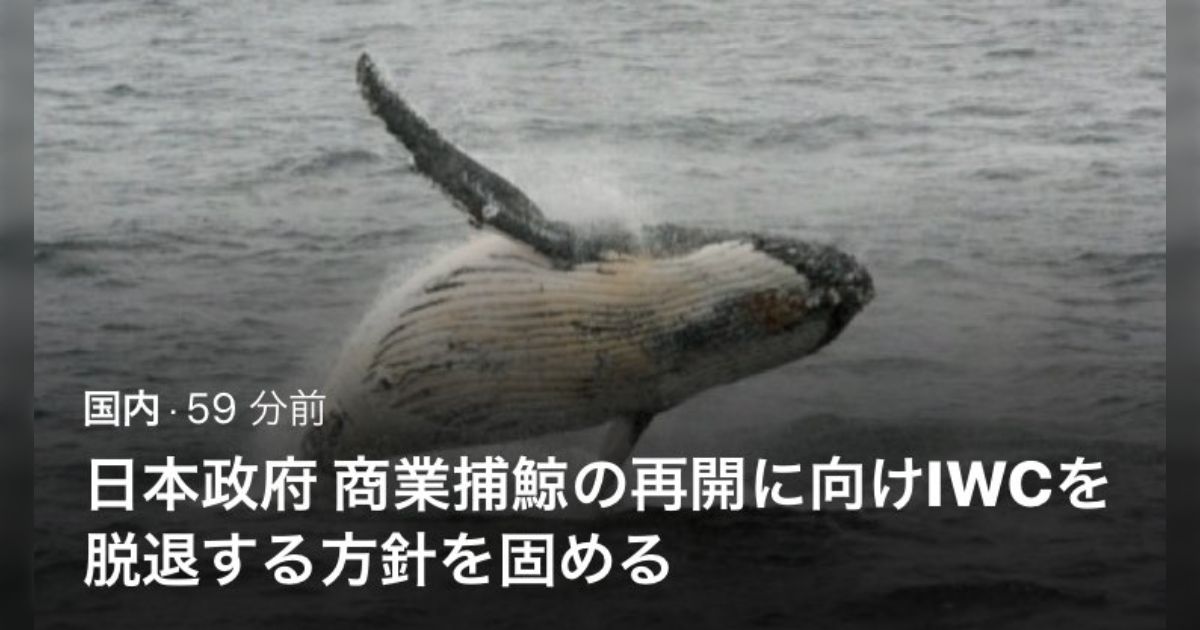 政府がIWC脱退方針を来週にも表明へ』と共同通信／ネットの反応