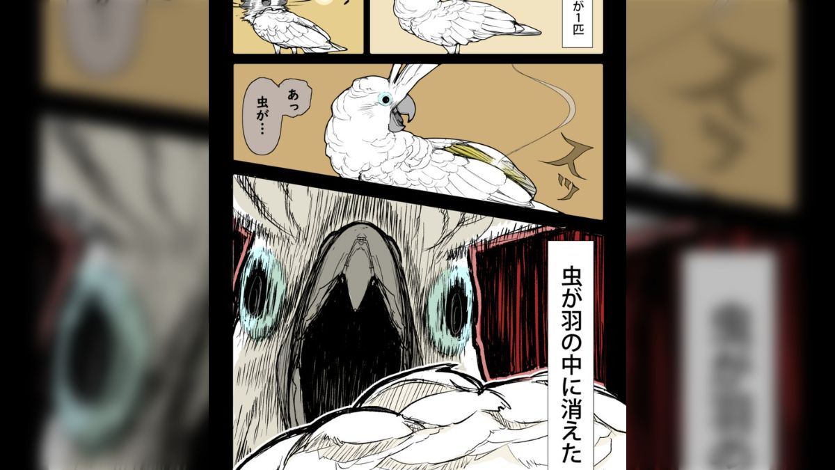 丸尾末広 漫画 【初版5冊含む】丸尾末広 12冊 ８作品12冊まとめ オウムは今日も考えている 全巻セット