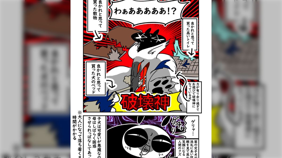 未開封〉神の小さな土地('58米)