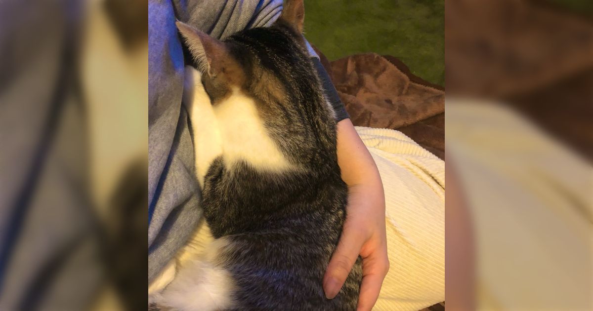 c675a580a2f87fae971dfe304ef0e1