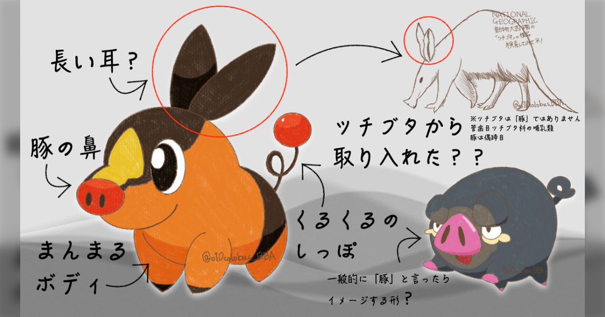 レックウザ グラードン ヤドン ポカブ 1 2の……ポカン！」“わざ”を忘れてしまった「ヤドン」「コダック