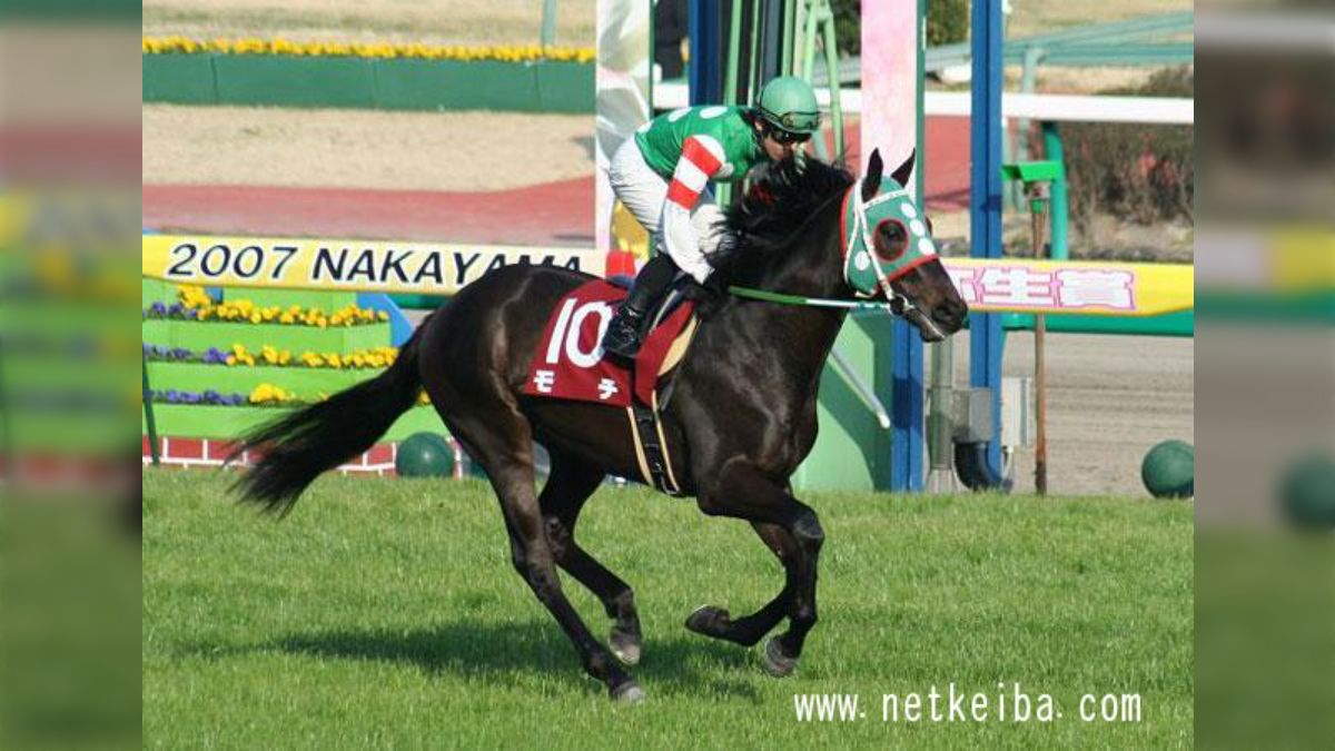 NHKɎX 229668 ԃ`[hho[ߕ ->摜>19 