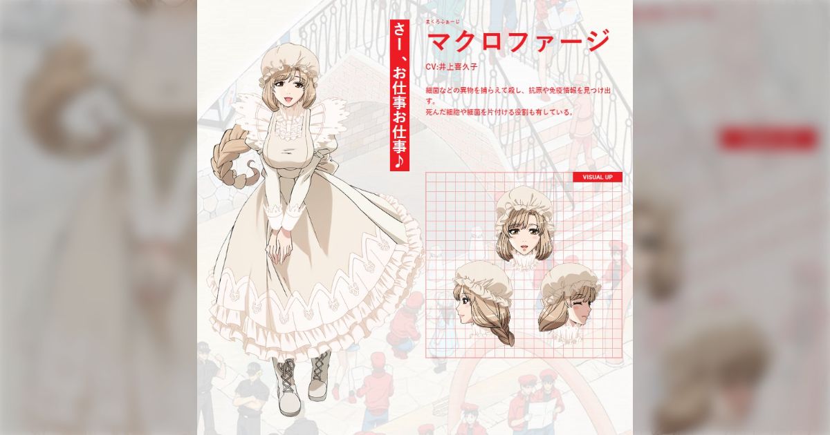 急募「まだ日本人が擬人化や女体化していないもの」→なんでもかんでも擬人化されてるせいで逆に探すのが難しいし、仮にないものがあると作られる