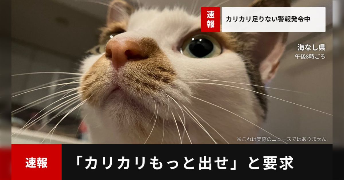 「ニュース風の画像を作れるWebツールを作ってみました」猫のほっこりニュースが飼い主たちから放出される