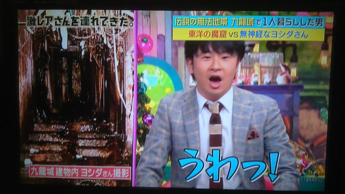 九龍 城 住ん で いた 人
