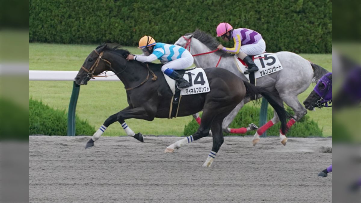 限定品】ホースレーシング2018キタサンブラック 有馬記念 ウマ娘