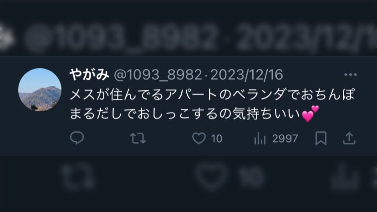 ガチん娘　pornhub gif 