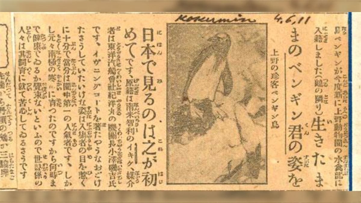 Lot さわやか GS-01xx 】大分県から全国へ♬ 大分うまれのペンギンデニム。