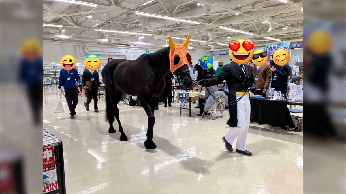 ウマ娘の同人イベントの会場にガチで馬が居てもはやコラ画像な話