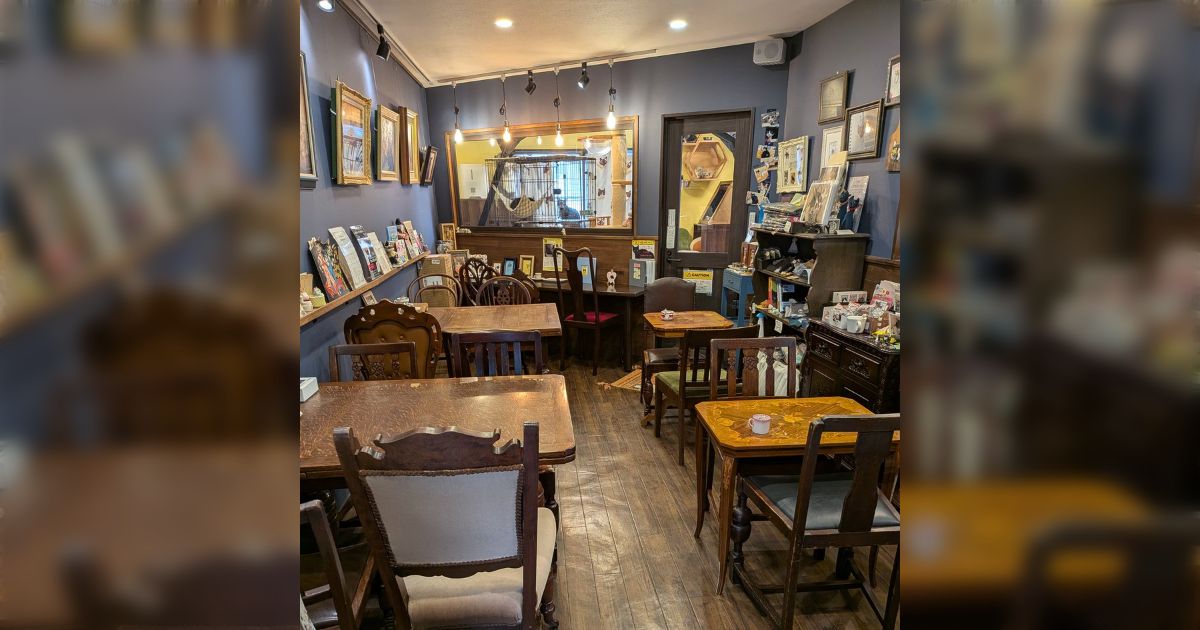 板橋にある保護猫シェルター併設のカフェが来客がないと嘆きのポスト→名前の変更やお店のわかりづらさを指摘する声が集まる