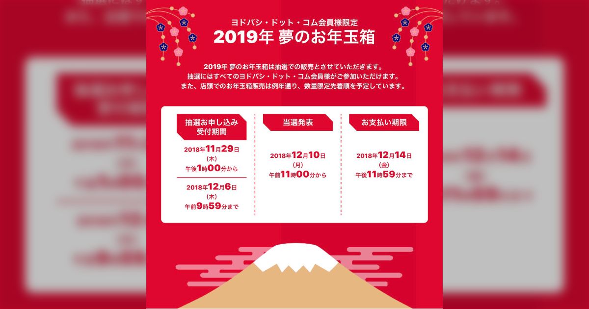 新品■2019 ヨドバシカメラ お年玉箱 福袋■フルハイビジョンビデカメの夢■Panasonicビデオカメラ■HC-V480MS ホワイト■メモリーカード他 夢のお年玉箱2019ヨドバシカメラの福袋が早くも届く - posfie