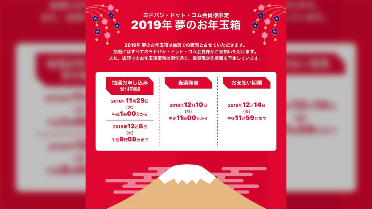 ヨドバシカメラ サーフェスPro 福袋2018