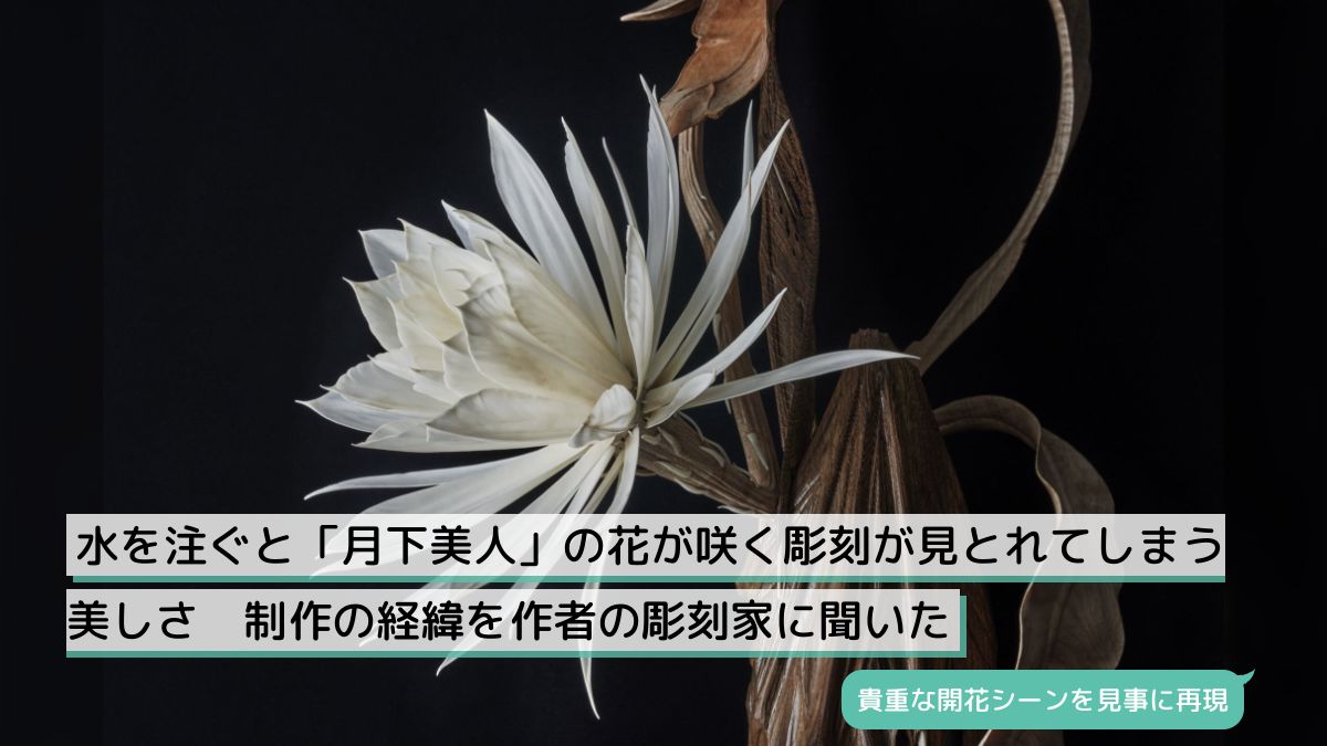 水を注ぐと「月下美人」の花が咲く彫刻が見とれてしまう美しさ 制作の経緯を作者の彫刻家に聞いた - Togetter [トゥギャッター]