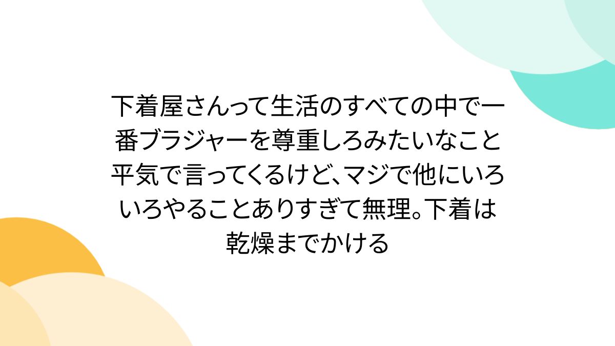 下着屋さんって生活のすべての中で一番ブラジャーを尊重しろみたいなこと平気で言ってくるけど、マジで他にいろいろやることありすぎて無理。下着は乾燥までかける