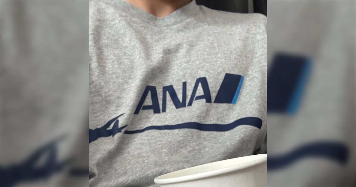ANAの服を着てJALに乗ります「巨人のユニフォームを着て阪神電車
