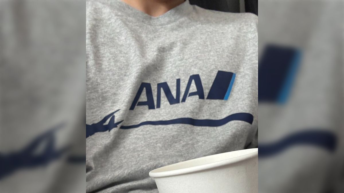 ANAの服を着てJALに乗ります「巨人のユニフォームを着て阪神電車