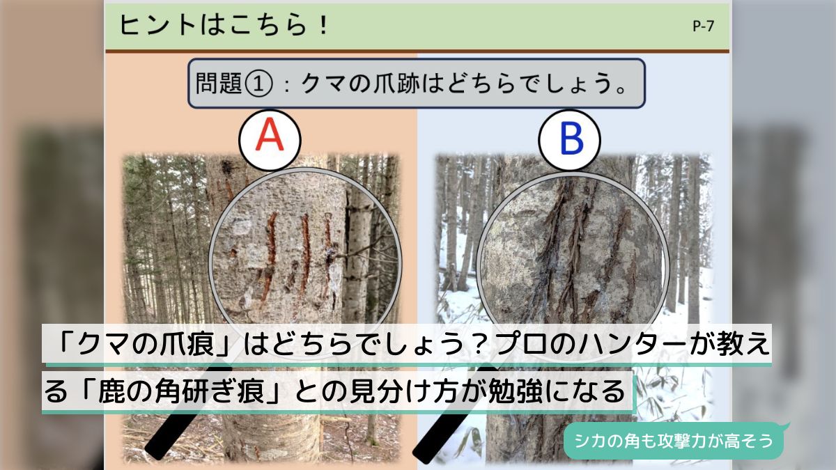 爪痕 34本組 日本ブレード製 ゼット プラスワン爪 イセキ トラクター用