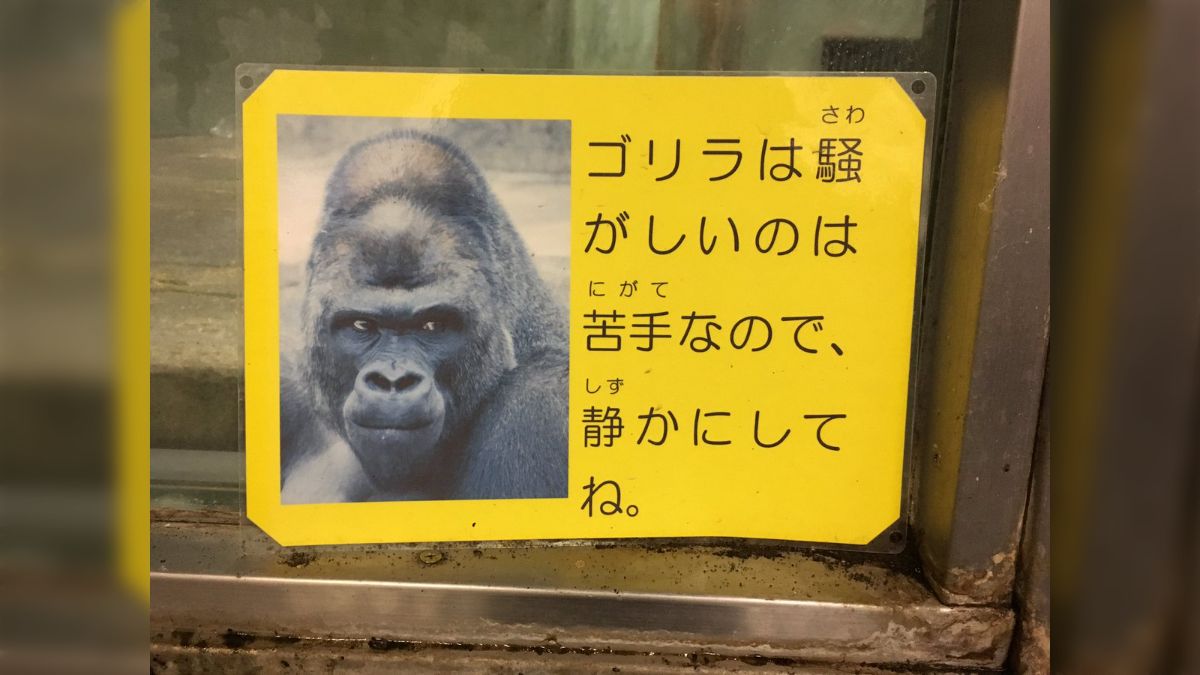 TLが荒れている時に使える看板『ゴリラは騒がしいのは苦手』→騒がしい