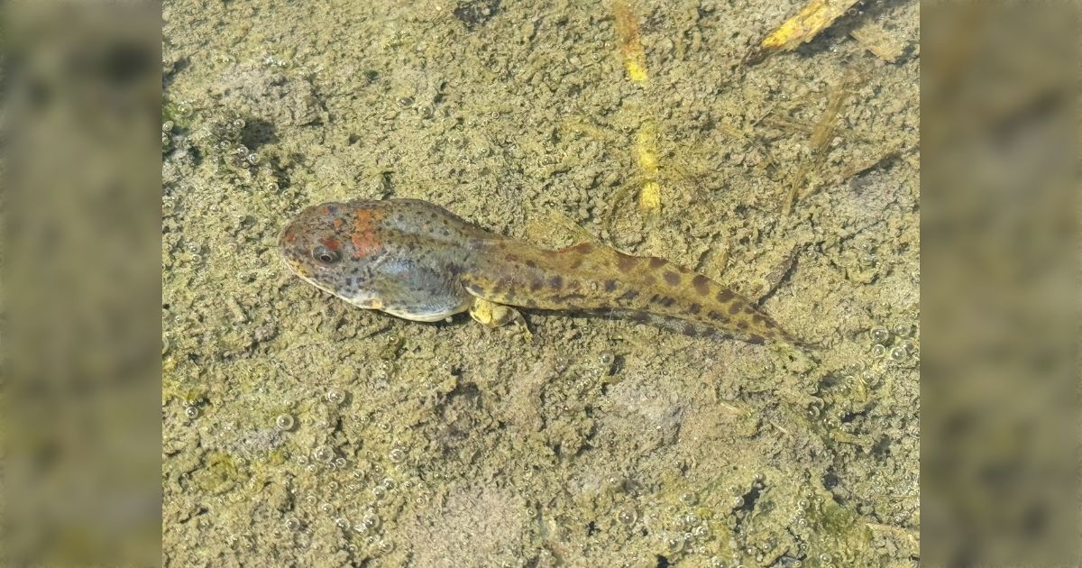 画像が削除されました