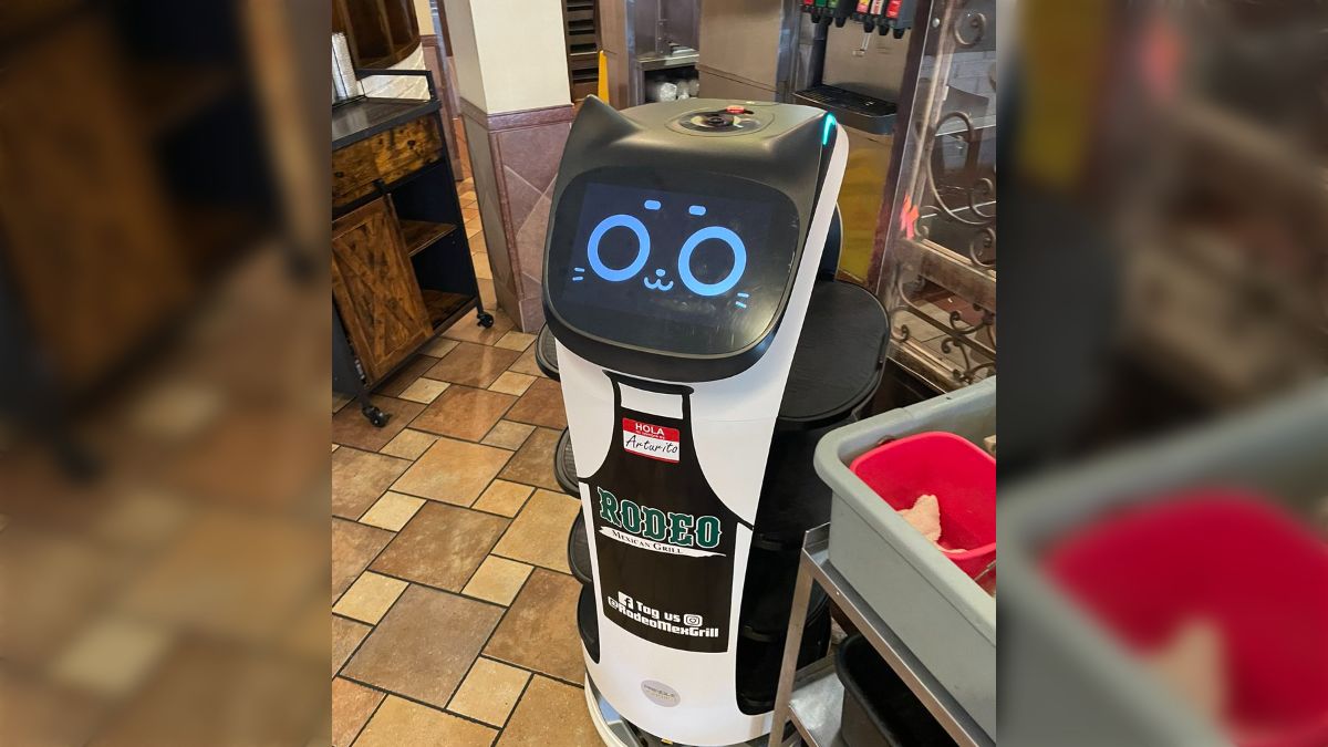 アメリカで英語を話すネコ型配膳ロボットさんに出会った→実はグローバルに活躍しているらしい「語尾の