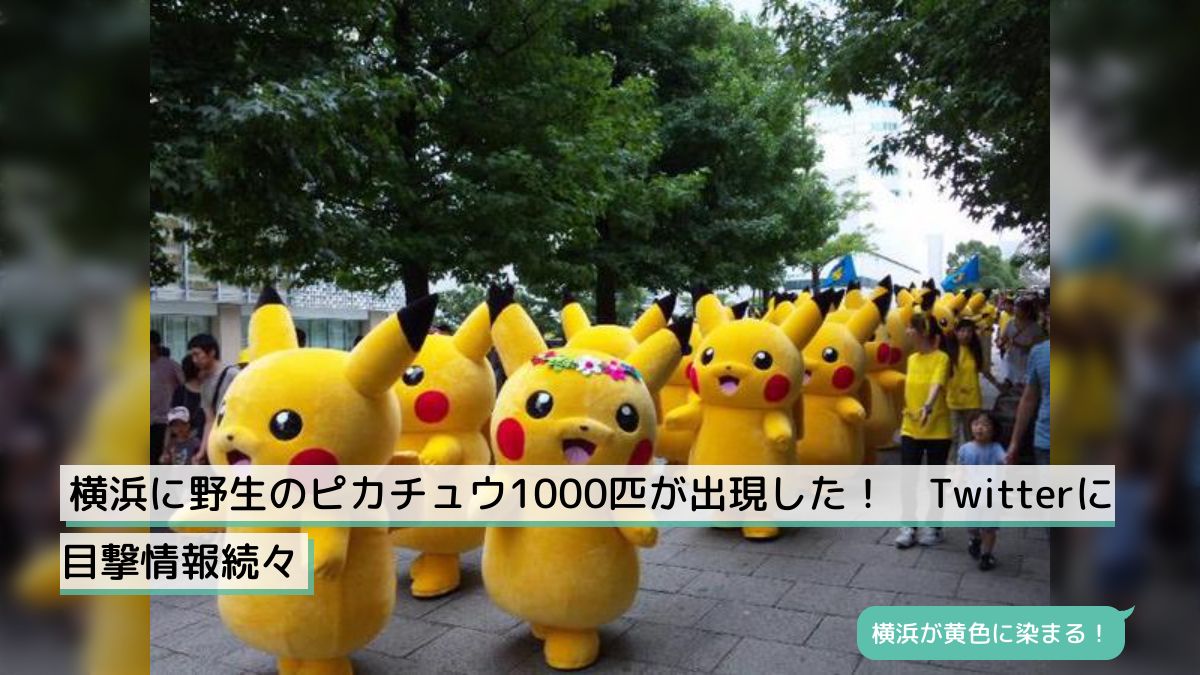 横浜に野生のピカチュウ1000匹が出現した！ Twitterに目撃情報続々 