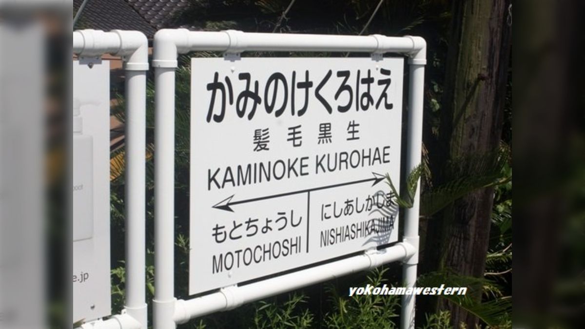 増毛駅　廃止記念　ミニ行先板 増毛駅 廃止記念 ミニ行先板 - メルカリ