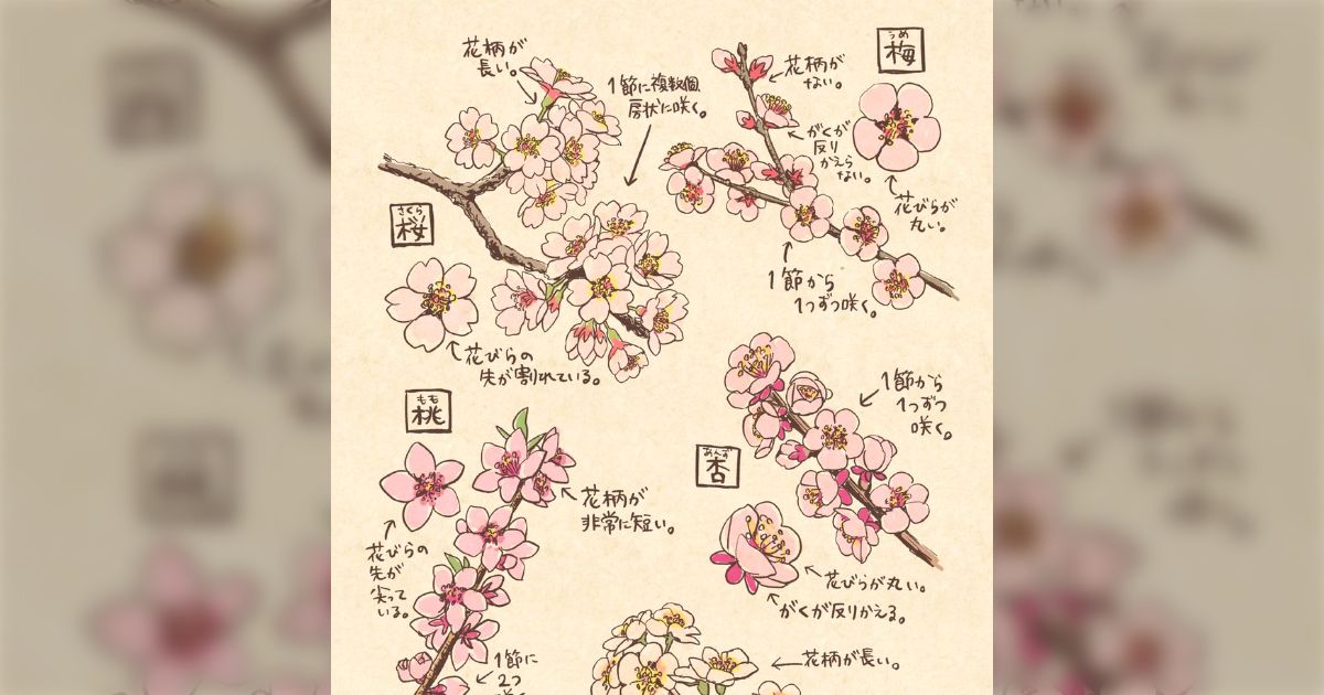 d62e707a95823944af996612044b5e