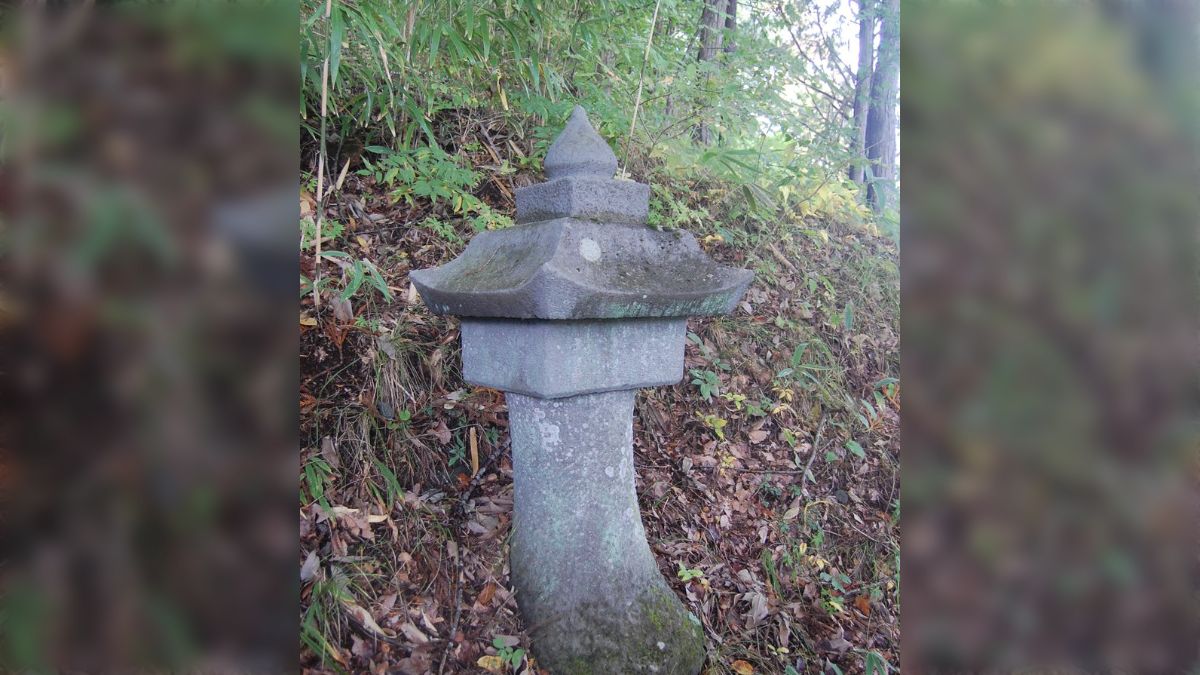 岸本燈　流出 