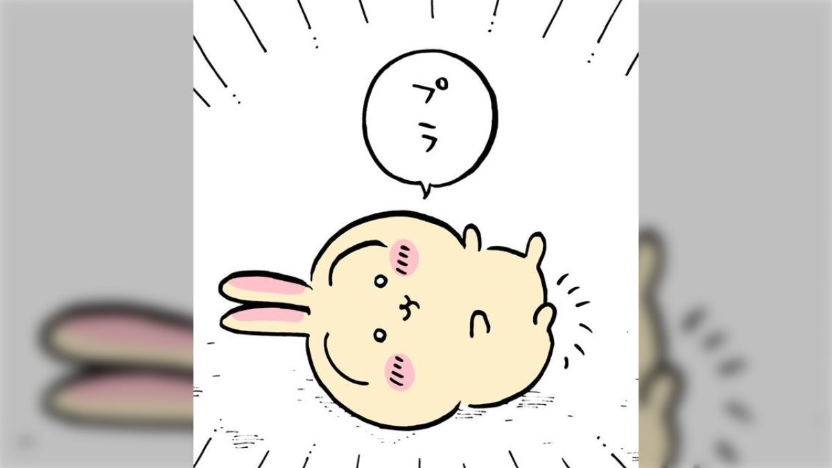 ちいかわうさぎ62点まとめ