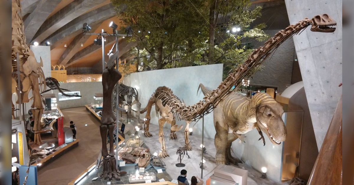博物の壺（博物倶楽部さんらによる群馬県立自然史博物館の常設展示ツイートまとめ） - Togetter [トゥギャッター]