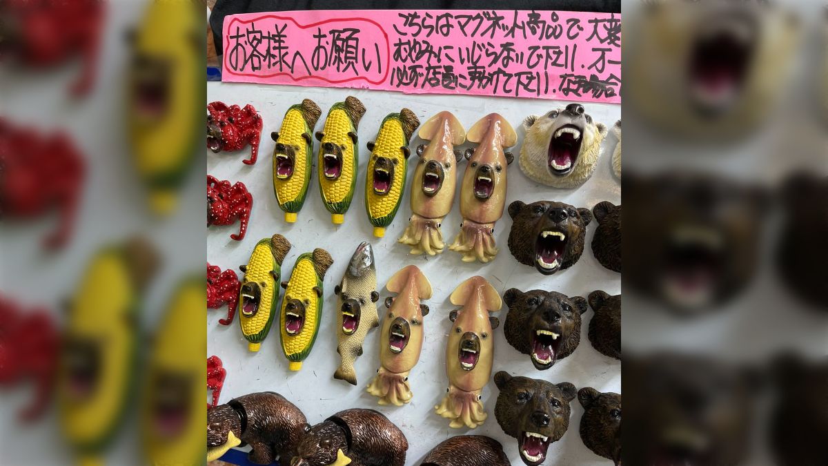 小田和正 みんなで自己ベスト‼︎ ご当地マグネット 小田和正 みんなで