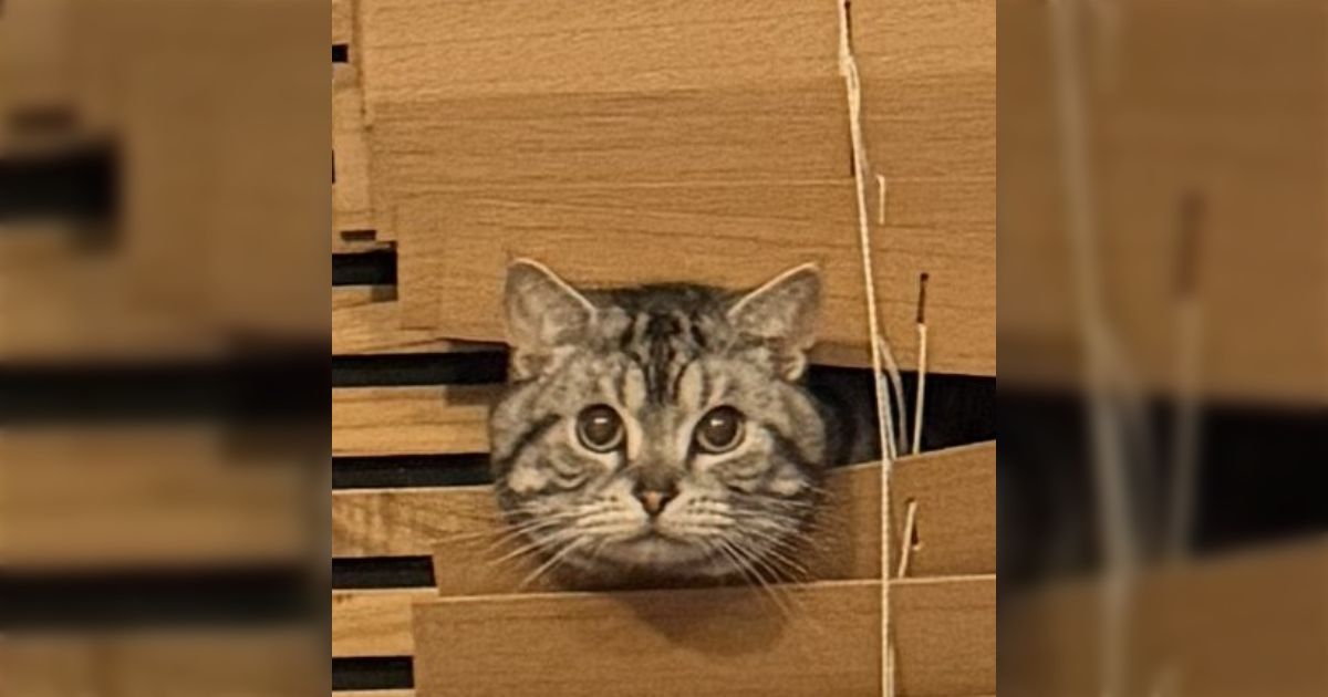 なんでそんな「何もしてませんけど」顔できるん？→「え、叱るんですか？？？私猫ですけど」「猫だからさ…」