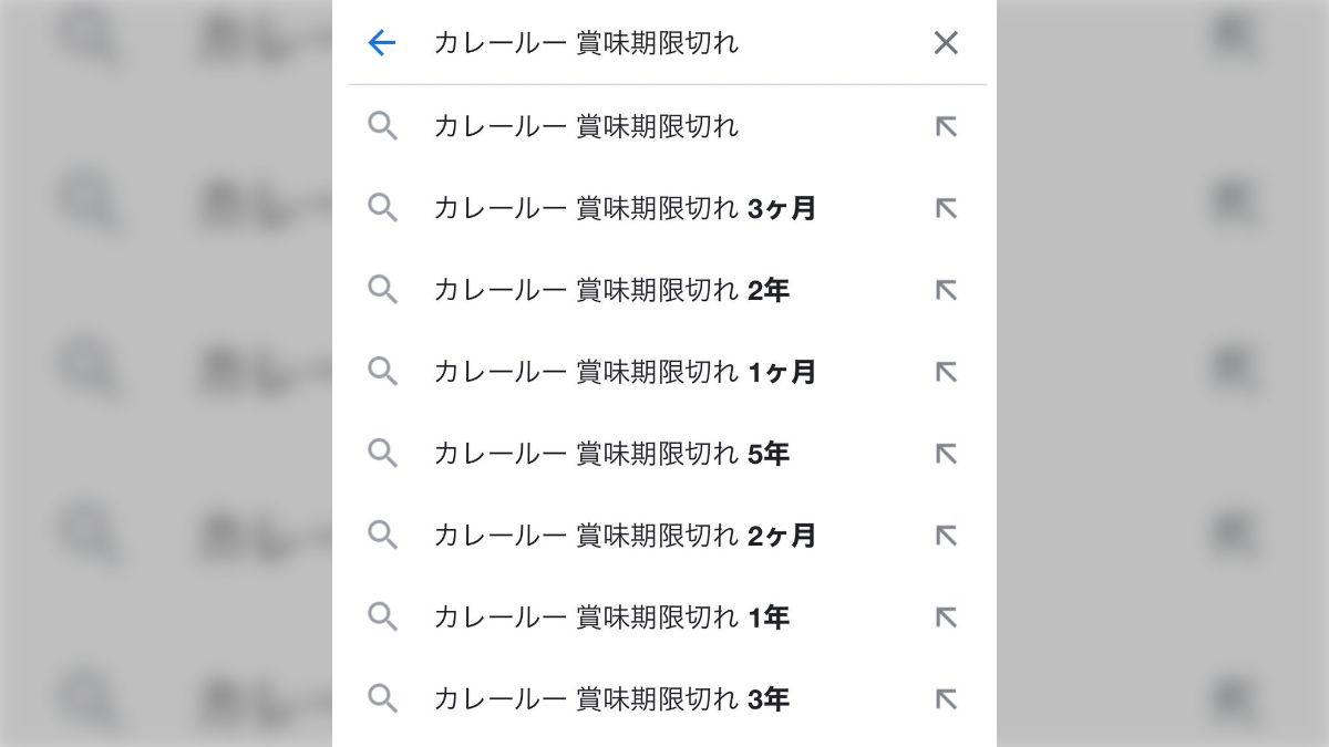 カレールー 賞味 期限切れ