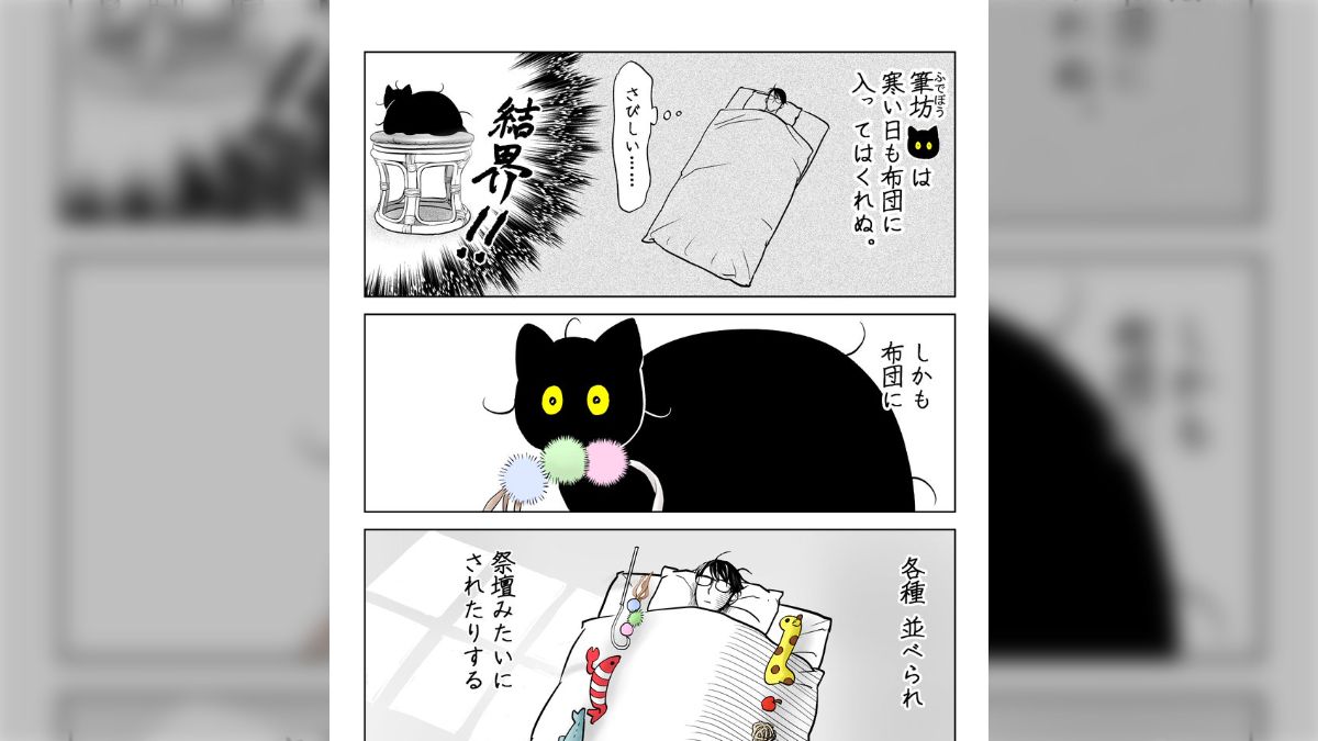 ドラ猫様 リクエスト 2点 まとめ商品 【公式通販】 ドラ猫様 リクエスト 2点 まとめ商品 【公式通販】