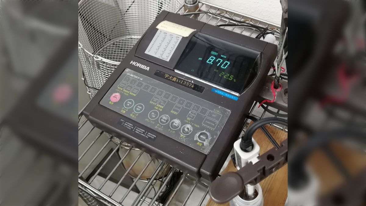 甲子園球場の土はカルシウムたっぷりで野菜もよく育つらしい