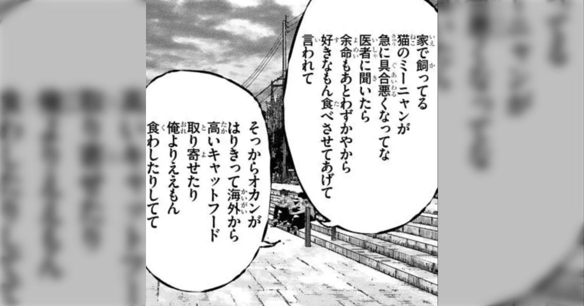 老衰でどんどん衰弱して体も動かせなくなって食欲もなくなった犬、医師にもあと数日で死ぬのでなんでも食べさせてあげてと言われたのでマックのポテトをあげた結果