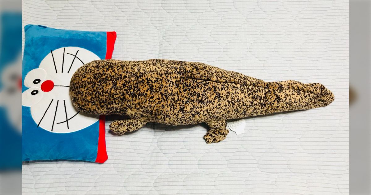 京都水族館でオオサンショウウオのぬいぐるみを買うと店員さん達