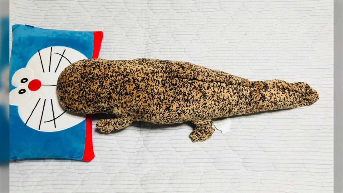 京都水族館でオオサンショウウオのぬいぐるみを買うと店員さん達