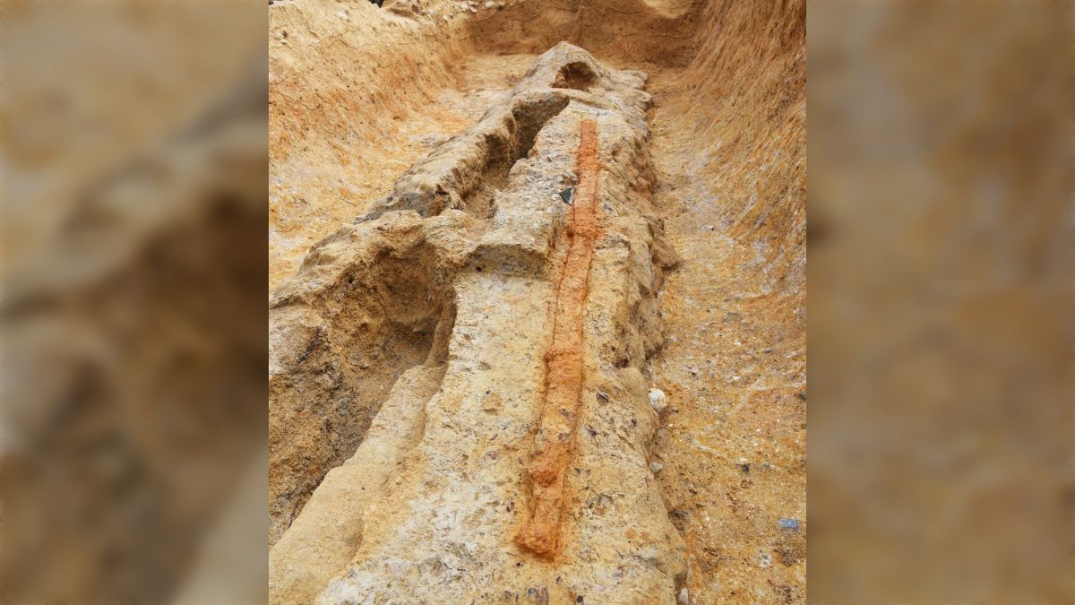 古い時代の刀盾 高さ64cm 古い時代の刀盾 高さ64cm