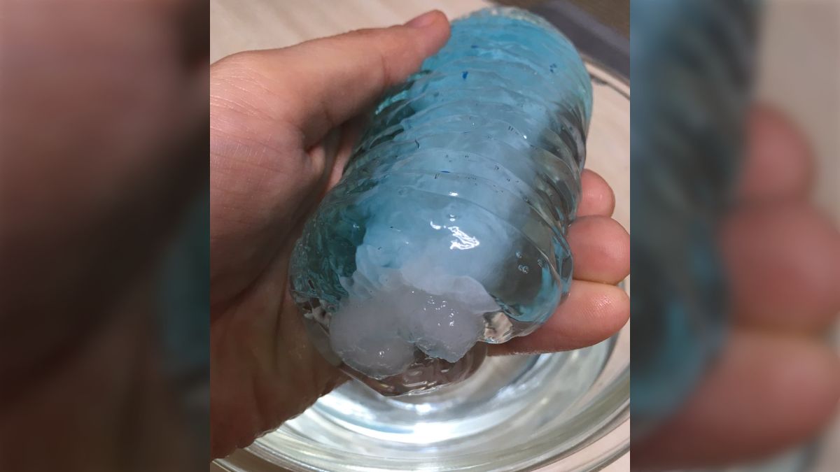 謎の物体生物様洗濯機