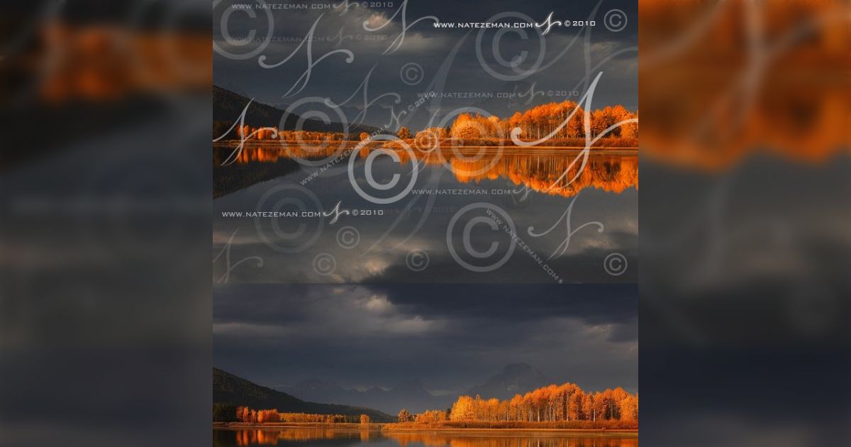 画像が削除されました