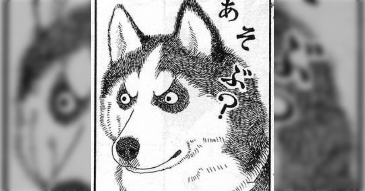 おたんこナース セール中！プロフ必読！です おたんこナース セール中！プロフ必読！様 リクエスト 5点